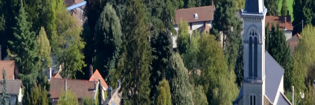 Image Couvreur shingle Beynost