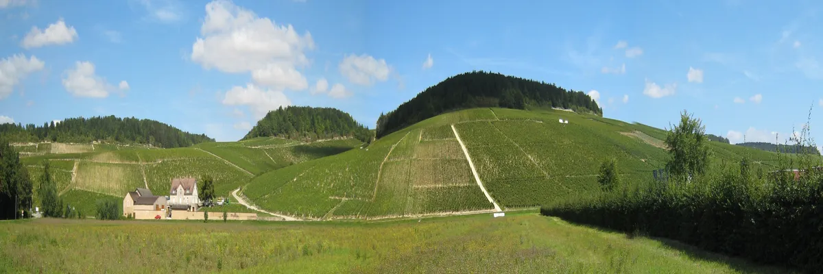 Image Couvreur shingle Bourgogne-Franche-Comté