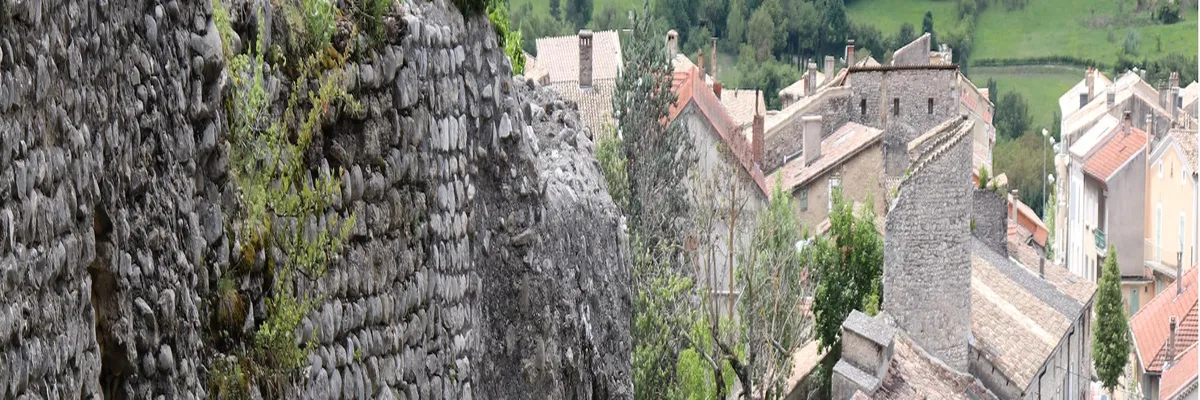 Image Couvreur shingle Die