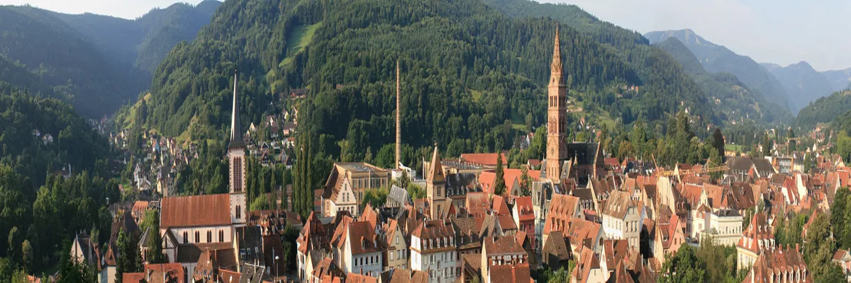 Image Couvreur shingle Haut-Rhin