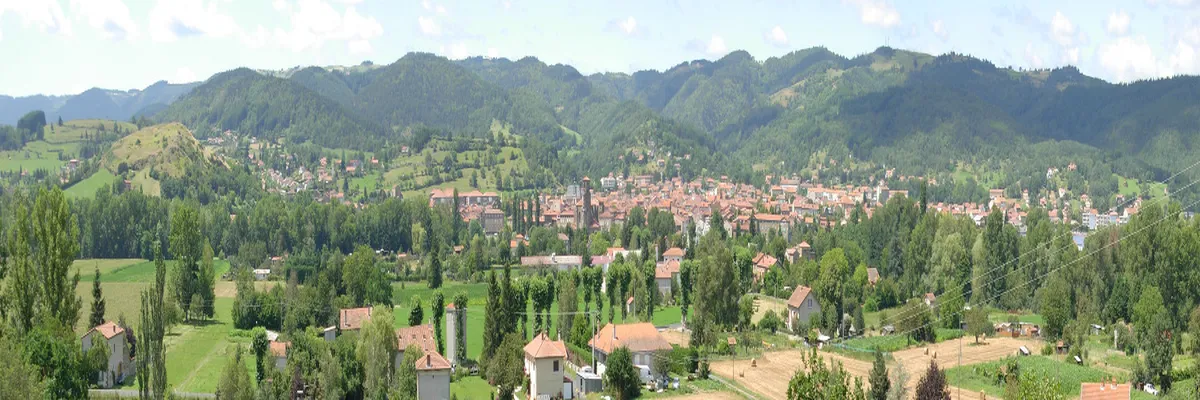 Image Couvreur shingle Haute-Loire