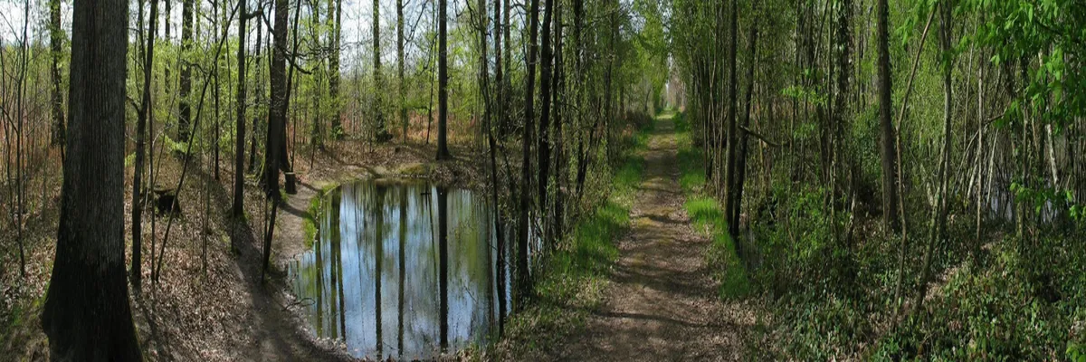 Image Couvreur shingle Indre