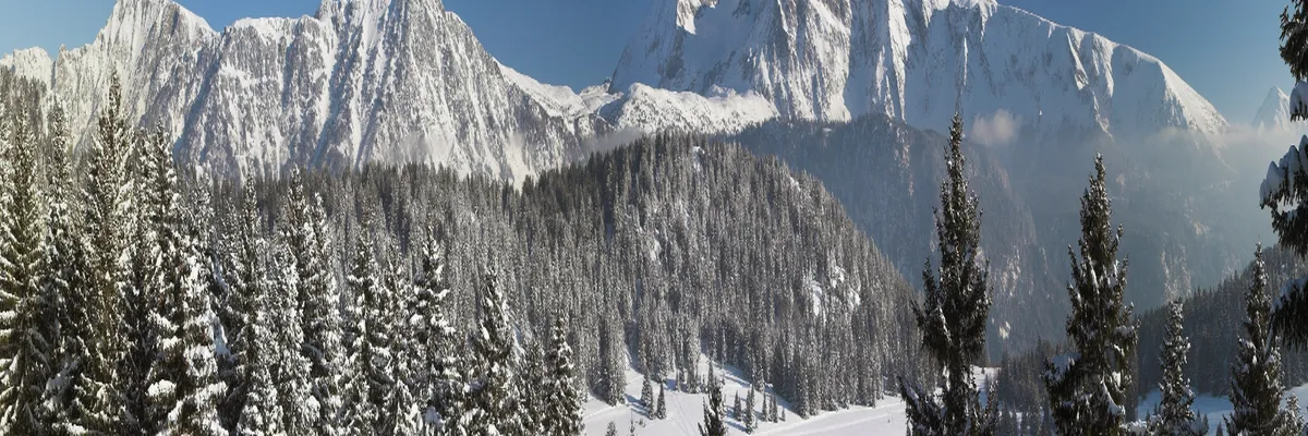 Image Couvreur shingle Isère