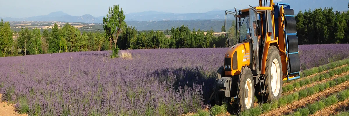Image Couvreur shingle Provence-Alpes-Côte d'Azur
