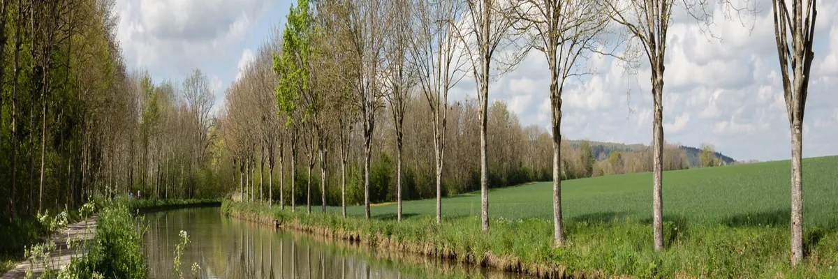 Image Couvreur shingle Yonne