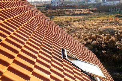 Image de BF Toiture Zinguerie - Nettoyage Demoussage Traitement Rénovation Réparation Étanchéité Fuite