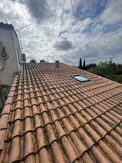 Image de Couvreur Rénovation Toiture - Artuiles & Toits