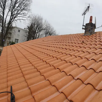Image de Démoussage Neuvillois