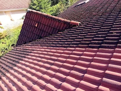Image de RT38 - Rénovation Toiture et Entretien