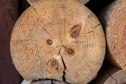 Image de traitement de bois charpente 34