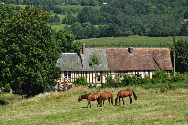 Couvreur Shingle Couvreur shingle Calvados