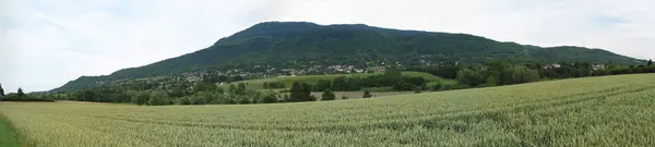 Couvreur Shingle Couvreur shingle Saint-Cergues